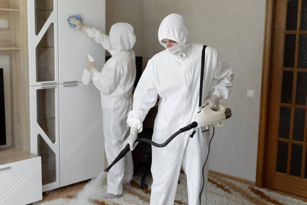 Best Residential Mold Removal  in Fitchburg, WI