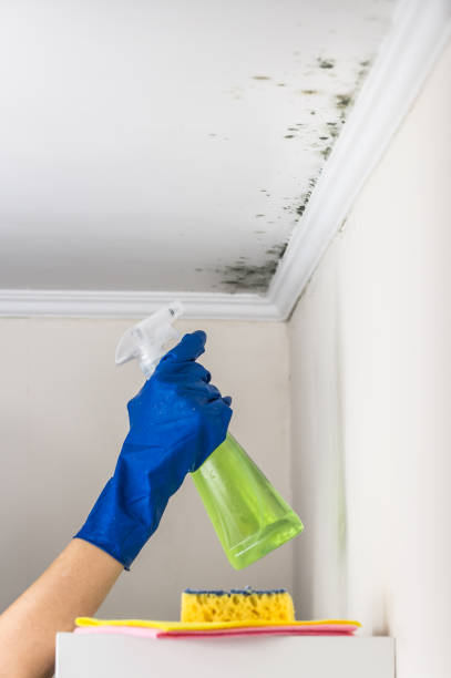 Best Mold Cleaning Services  in Fitchburg, WI